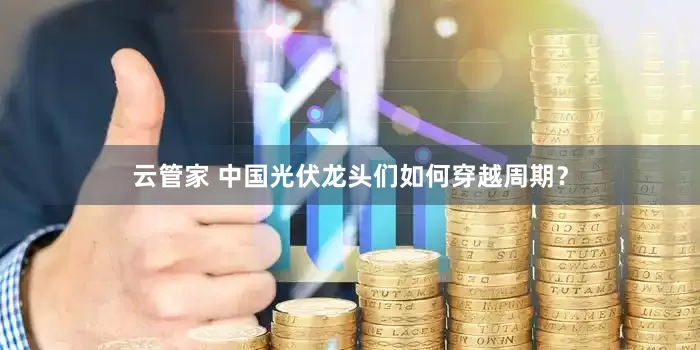 云管家 中国光伏龙头们如何穿越周期？