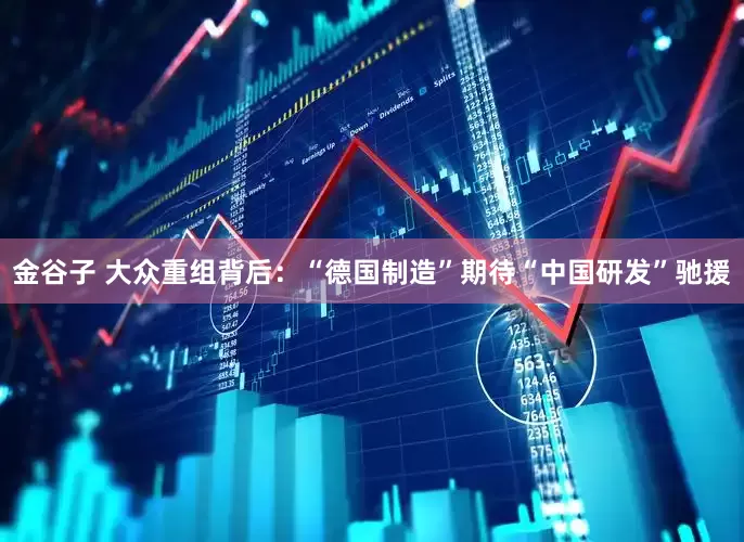 金谷子 大众重组背后：“德国制造”期待“中国研发”驰援
